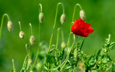 Building Relational Stamina